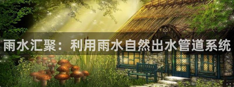 球盟会综合app下载