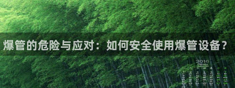 球盟会中国网页登录